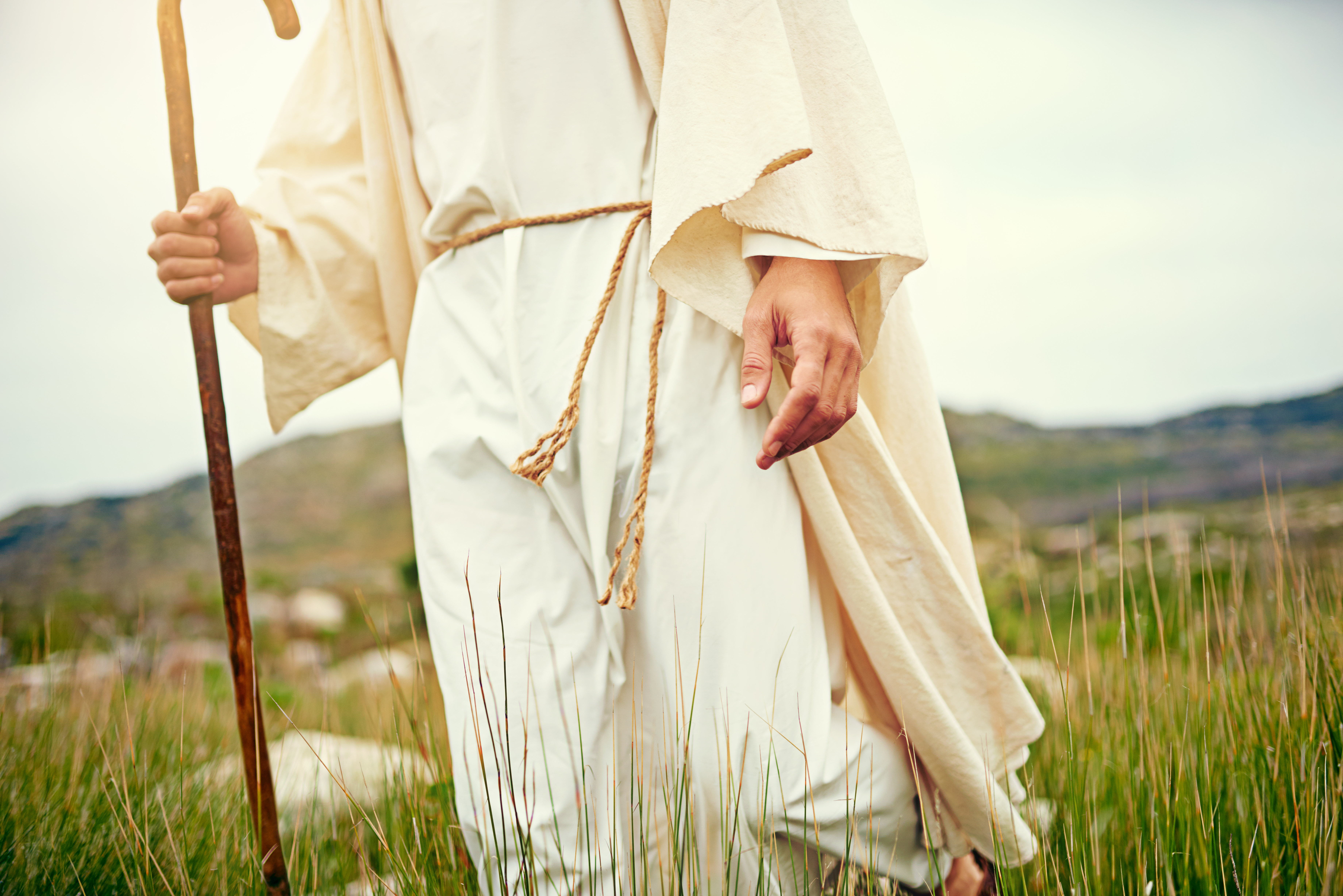 A Glimpse of the Good Shepherd