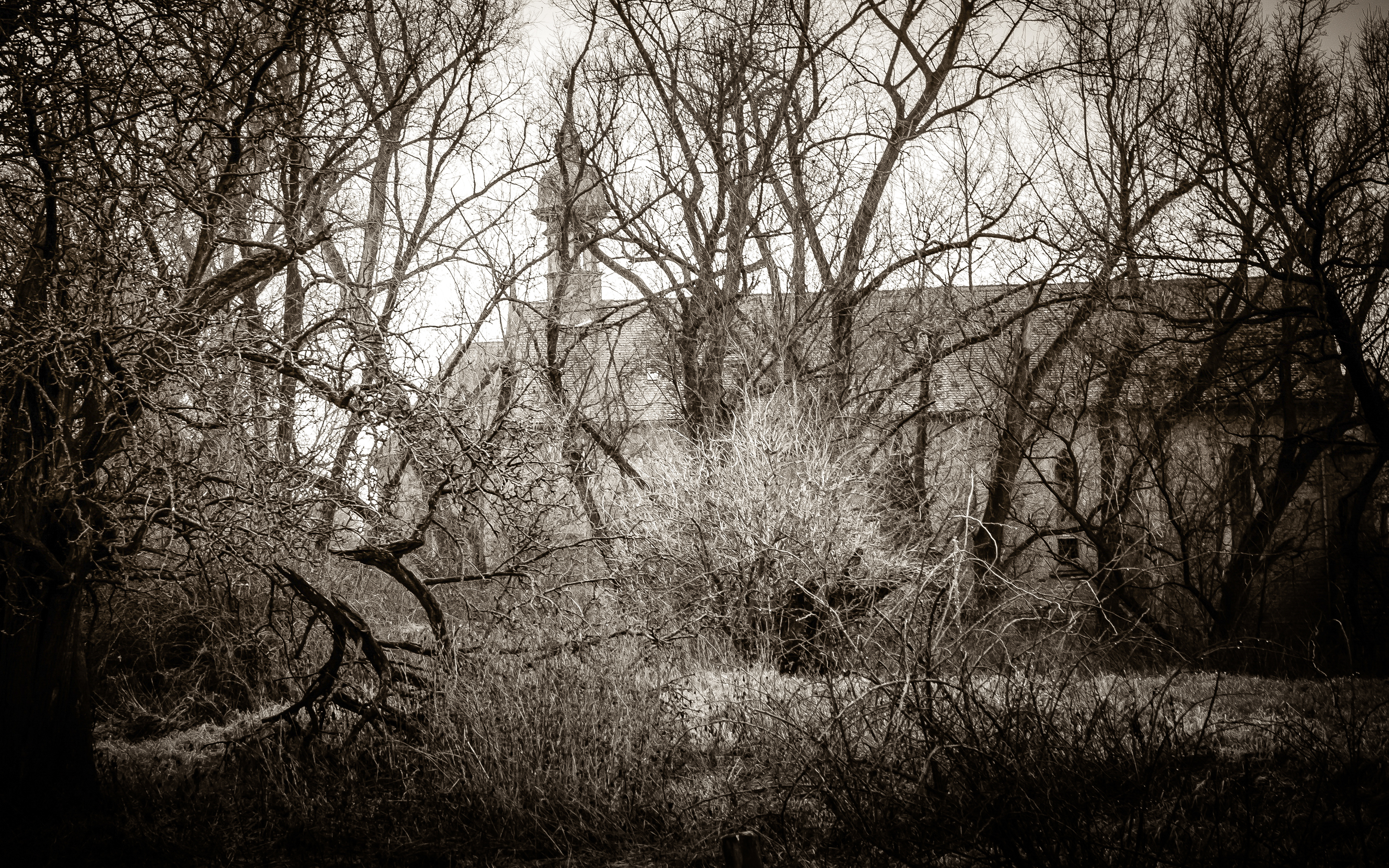 The Unseen Church