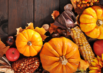 Wealth and Freedom, Thanksgiving and Joy
