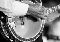 Mr. Brown's Bluegrass Blessing