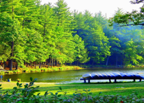 Every Child Deserves a Great Camp Adventure