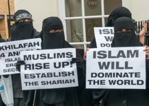 Pro-Muslim, Anti-Islam