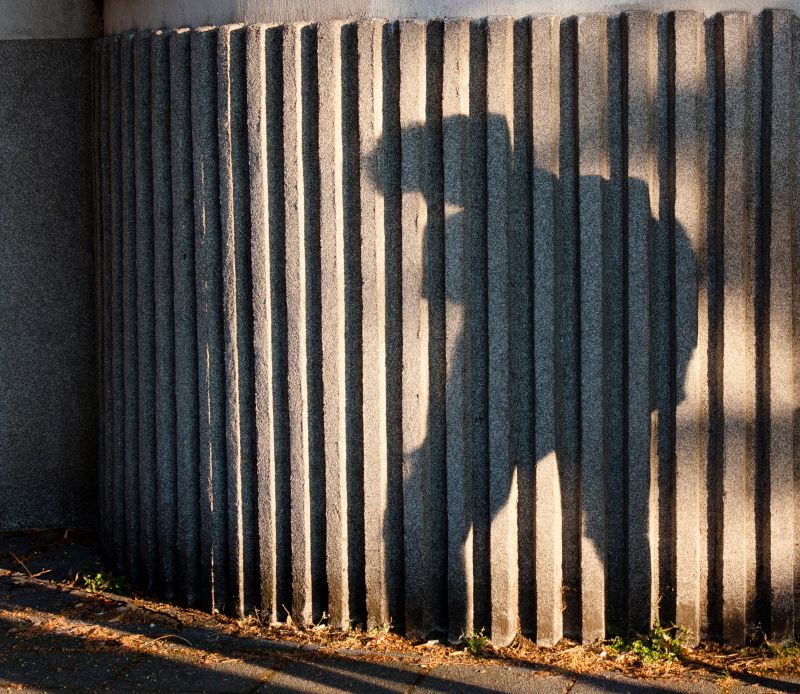 The War on Fathers
