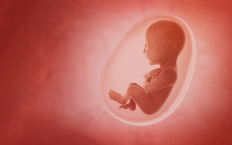 Celebrate the End of Roe