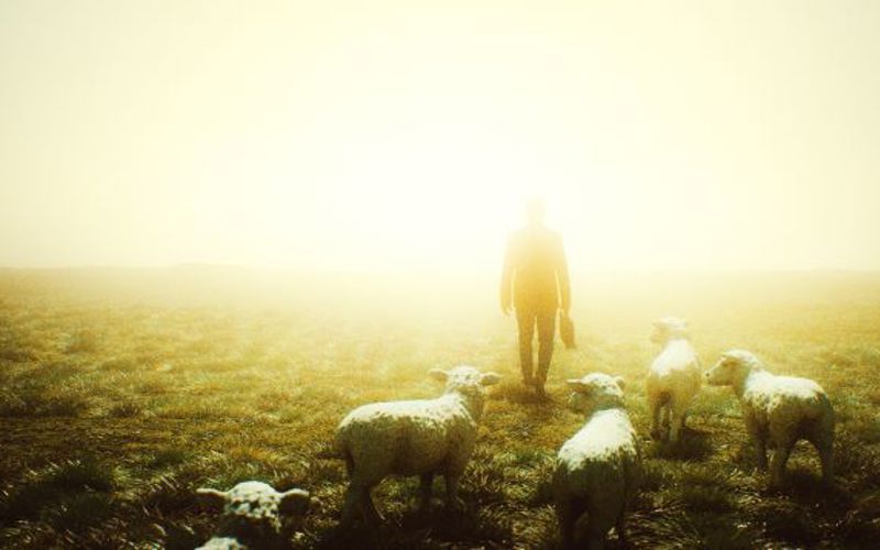 Now, Take the 23rd Psalm for Instance...