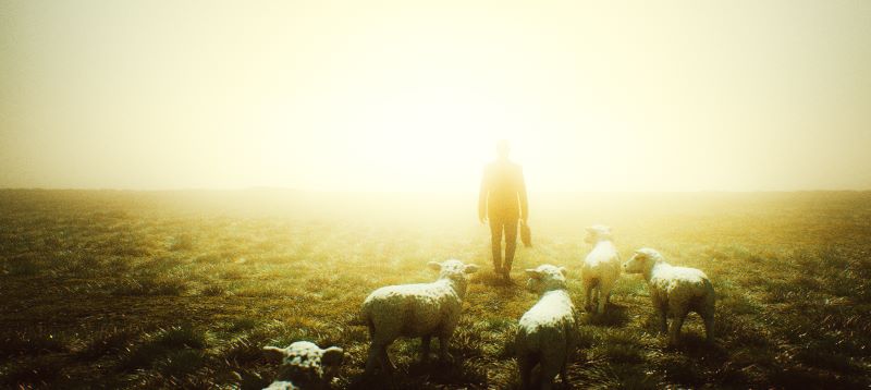 Now, Take the 23rd Psalm for Instance...
