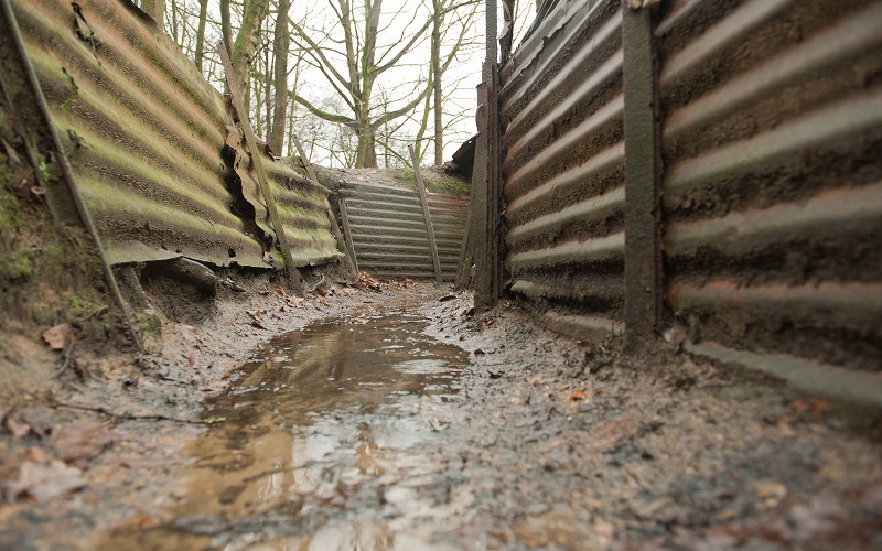 The View From a Trench