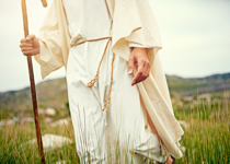 A Glimpse of the Good Shepherd