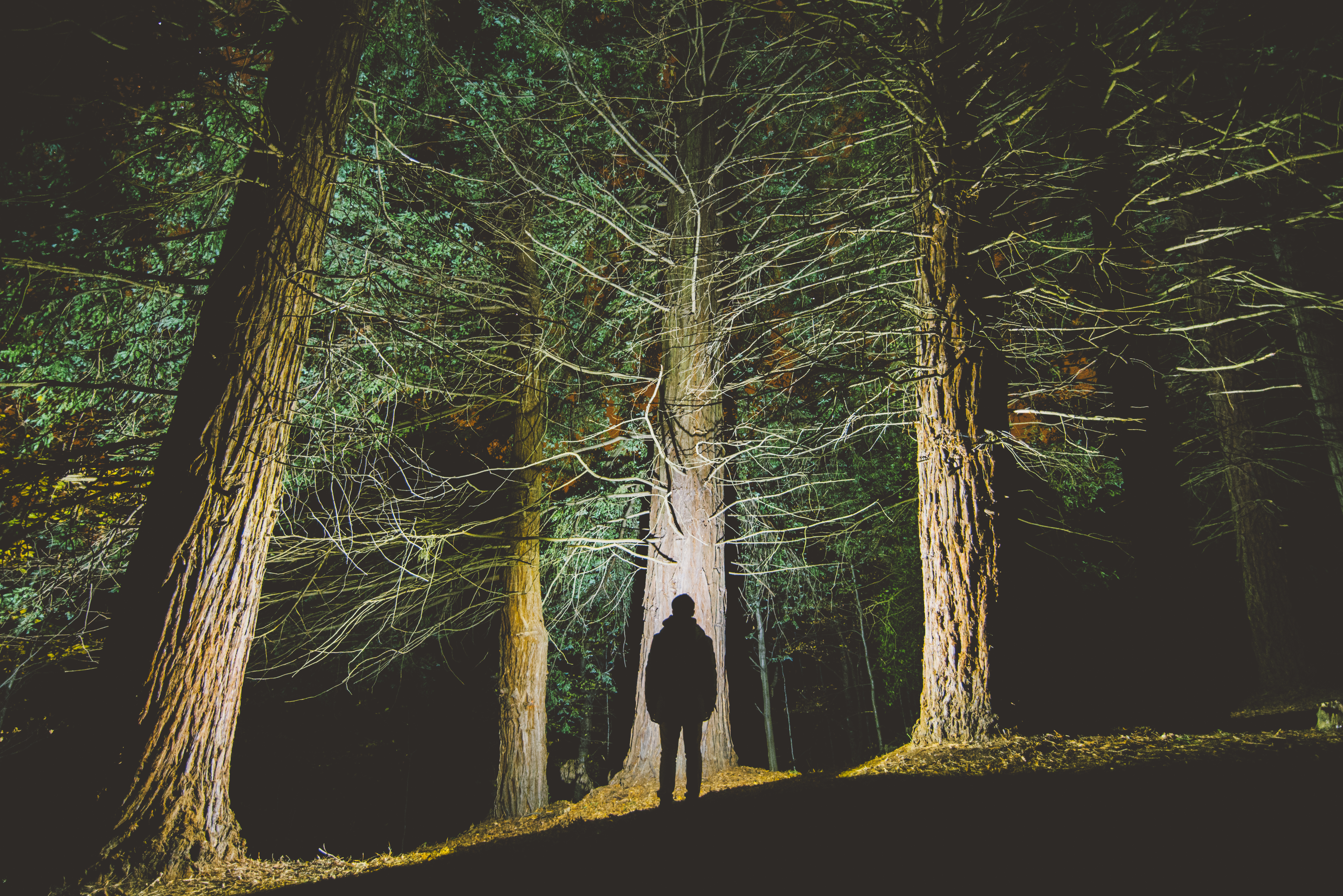 It’s Not a Witch-Hunt; It’s a Snipe Hunt