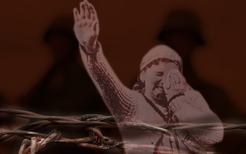 Just What Is Fascism Anyway?