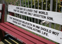 More Than Just Well-Known Words