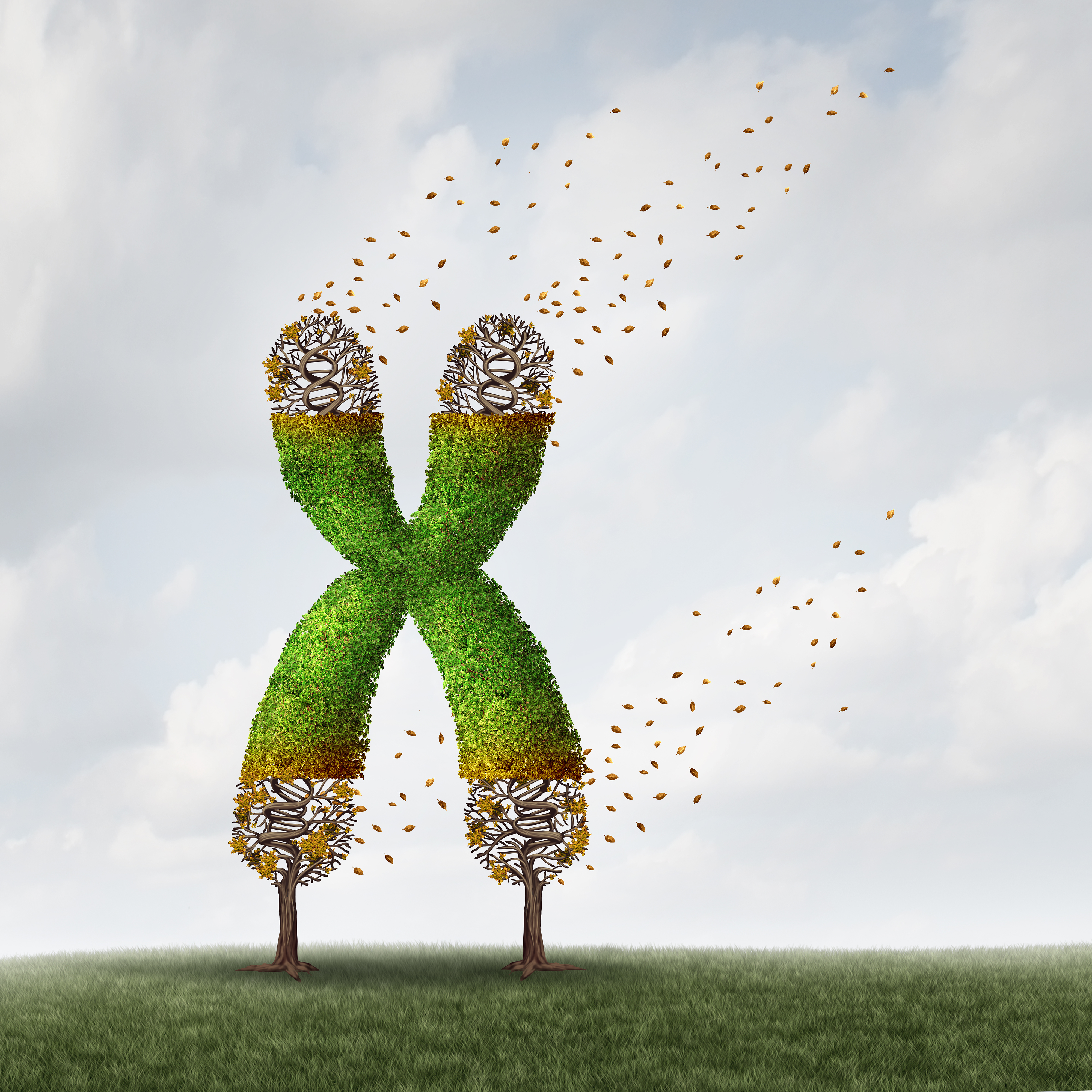 DNA Evidence: Effects of Fatherlessness
