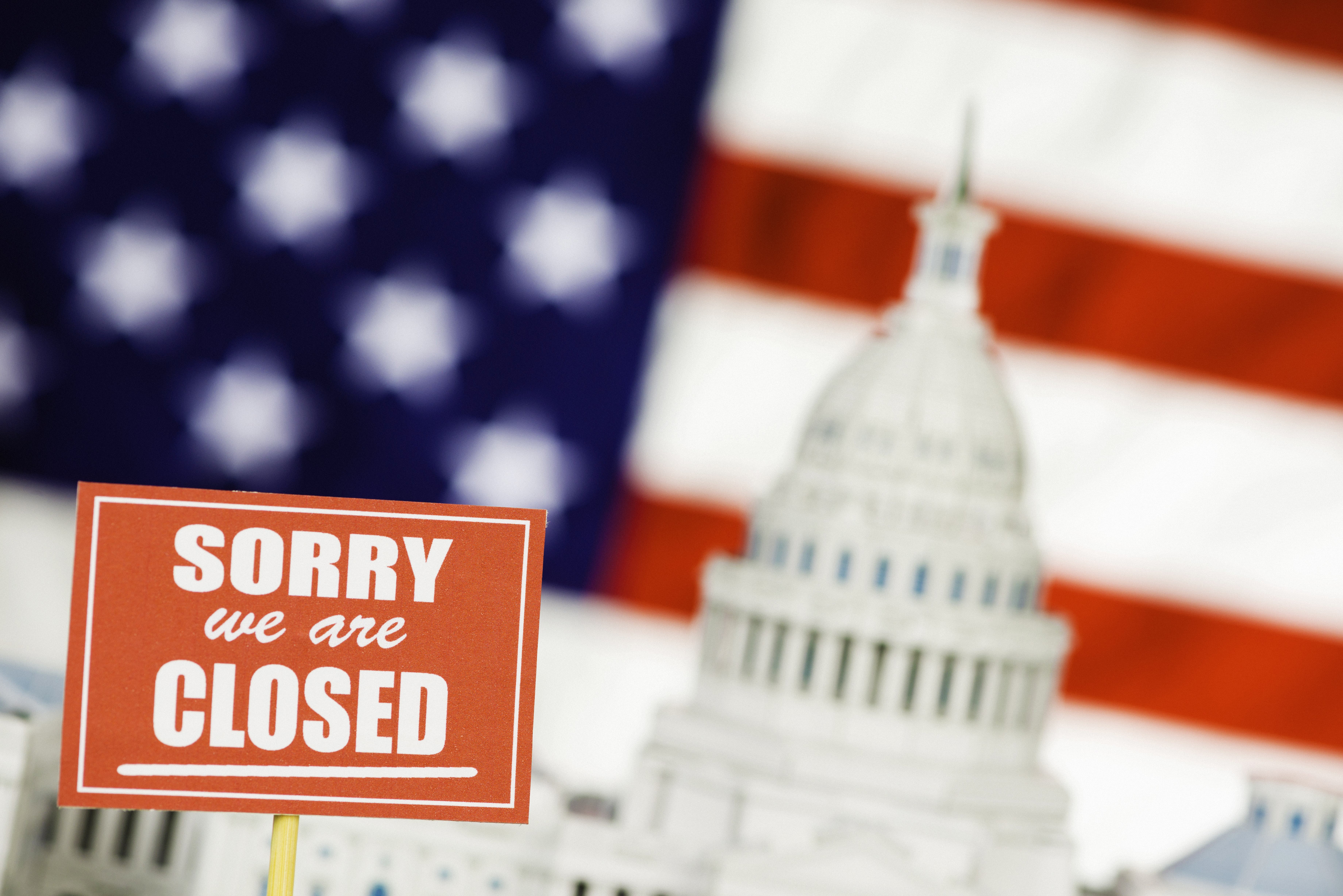 A "Good" Government Shutdown