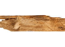 The Broken Beam
