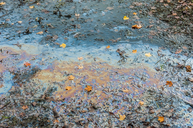 The Foul Stench in Washington