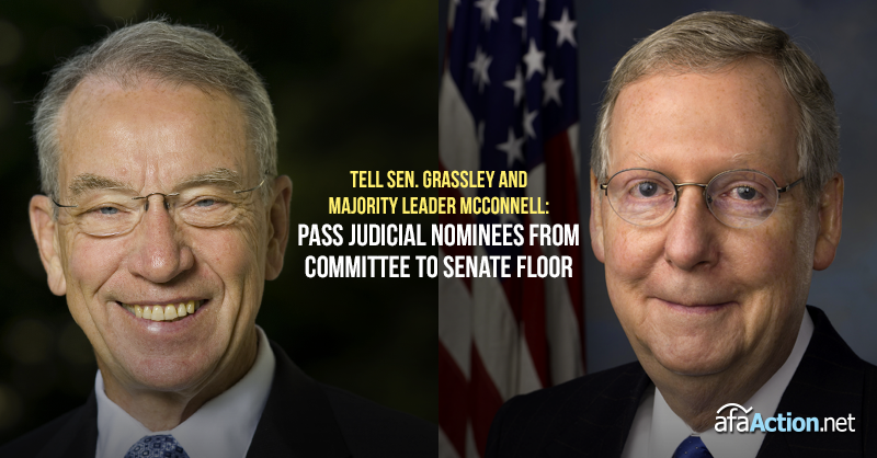 Tell Senators Grassley and McConnell to advance Pres. Trump's judges Image