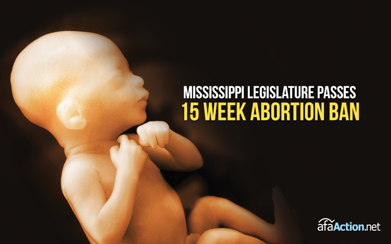 Mississippi makes history with 15-week abortion ban