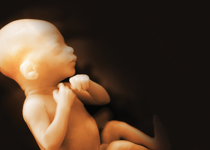 Mississippi Passes 15 Week Abortion Ban