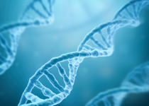 British Doctor Fired for Affirming Biological Reality