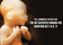 End Federally Funded Abortions Now
