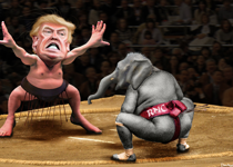 The WWE Explains Donald Trump