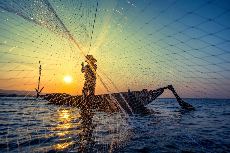 Special Prosecutors and Their Fishing Nets