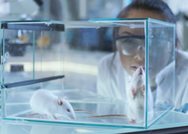 GROTESQUE: U.S. Government Cannibalizing Babies So Mice Can Live