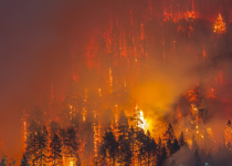 Subpoenas, Jihadis, Priests, Bakers, & Wildfires