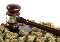 Is Legalizing Pot a Good Idea?