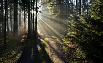 Clearing a Path to See God Better