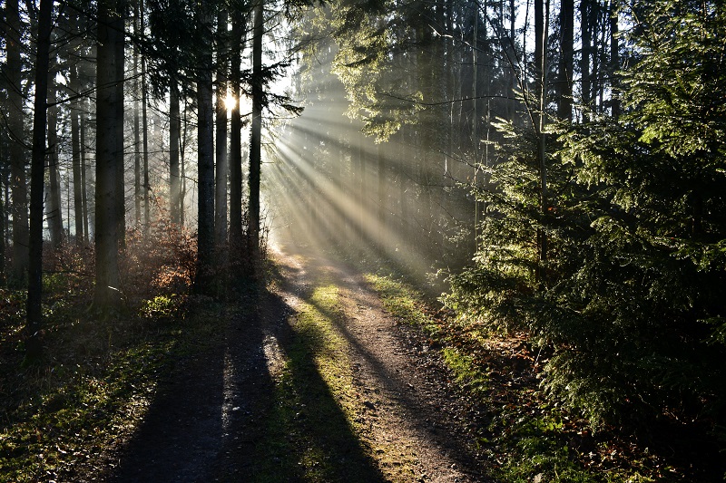 Clearing a Path to See God Better