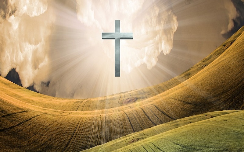 Do  You Believe?