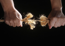 Violence: The Hope of the Morally Bankrupt