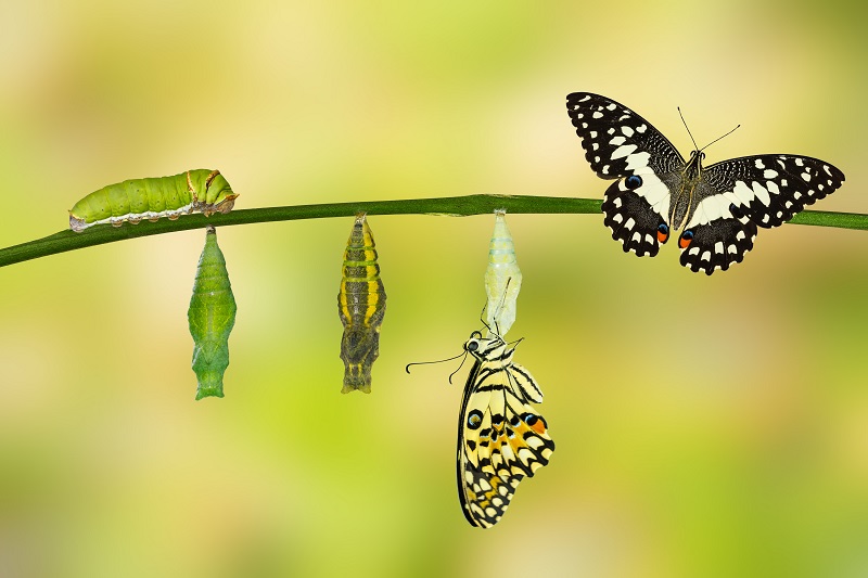 Resistance Gives Us Abilities to Change & Grow