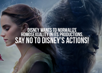 Protect Your Children from Disney's Gay Agenda!