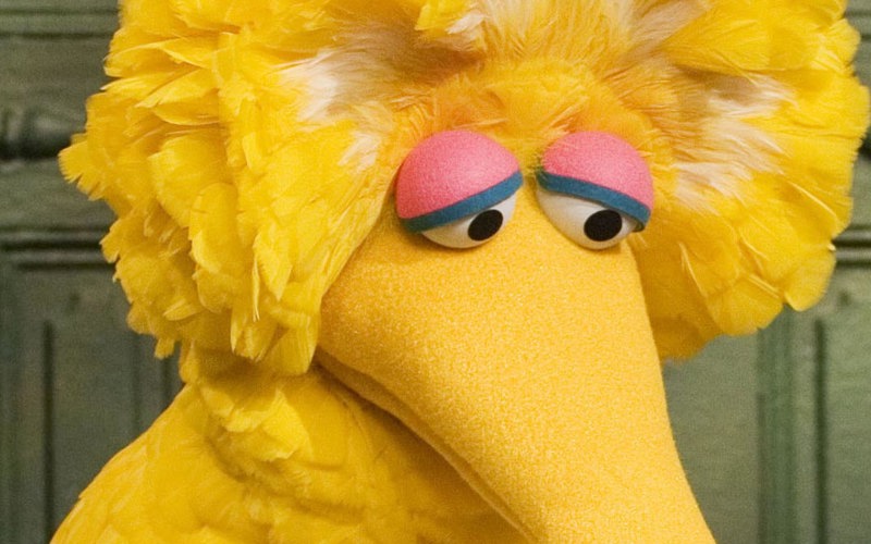 Killing Big Bird?