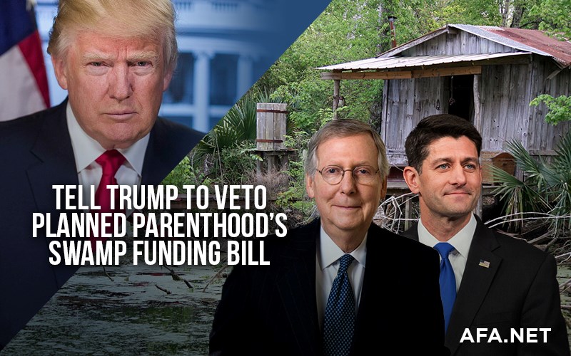 Urge the president to veto any bill that funds Planned Parenthood