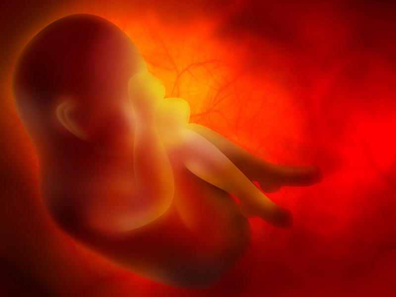 A Response to Pat Robertson’s Critique of Alabama’s Abortion Ban