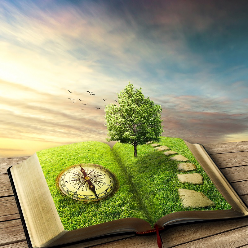 What If God Wrote a Book?