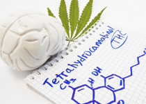 Today’s Pot Destroys Teen Brains
