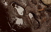 A Message in the Dirt