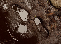 A Message in the Dirt