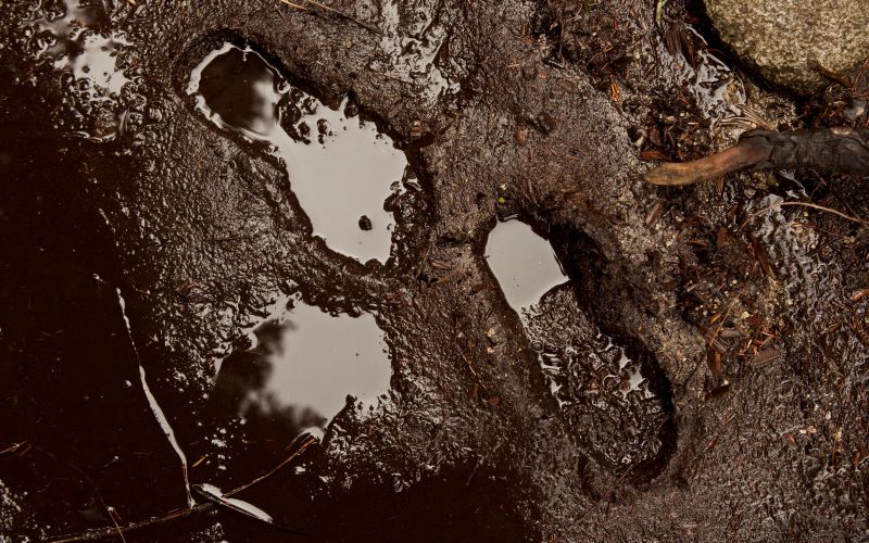 A Message in the Dirt