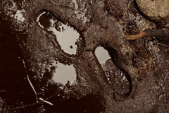 A Message in the Dirt