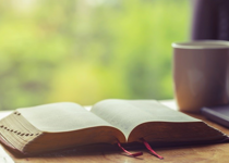Small Steps Daily Devotions October 24 – 30