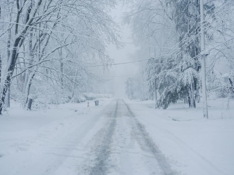 A Reminder of Life's Fragility