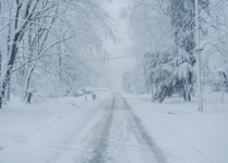 A Reminder of Life's Fragility