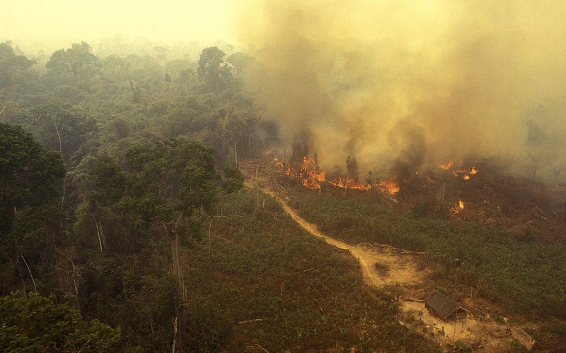 Everything You’ve Heard About the Amazon Fires Is Wrong