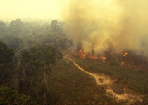 Everything You’ve Heard About the Amazon Fires Is Wrong