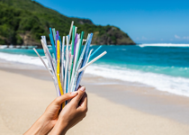 All You Need to Know About Straws and the Environment